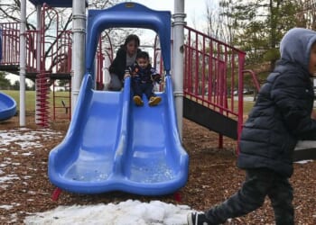 Woman faces prison time for bringing dangerous dog to playground that mauled boy for 2 minutes