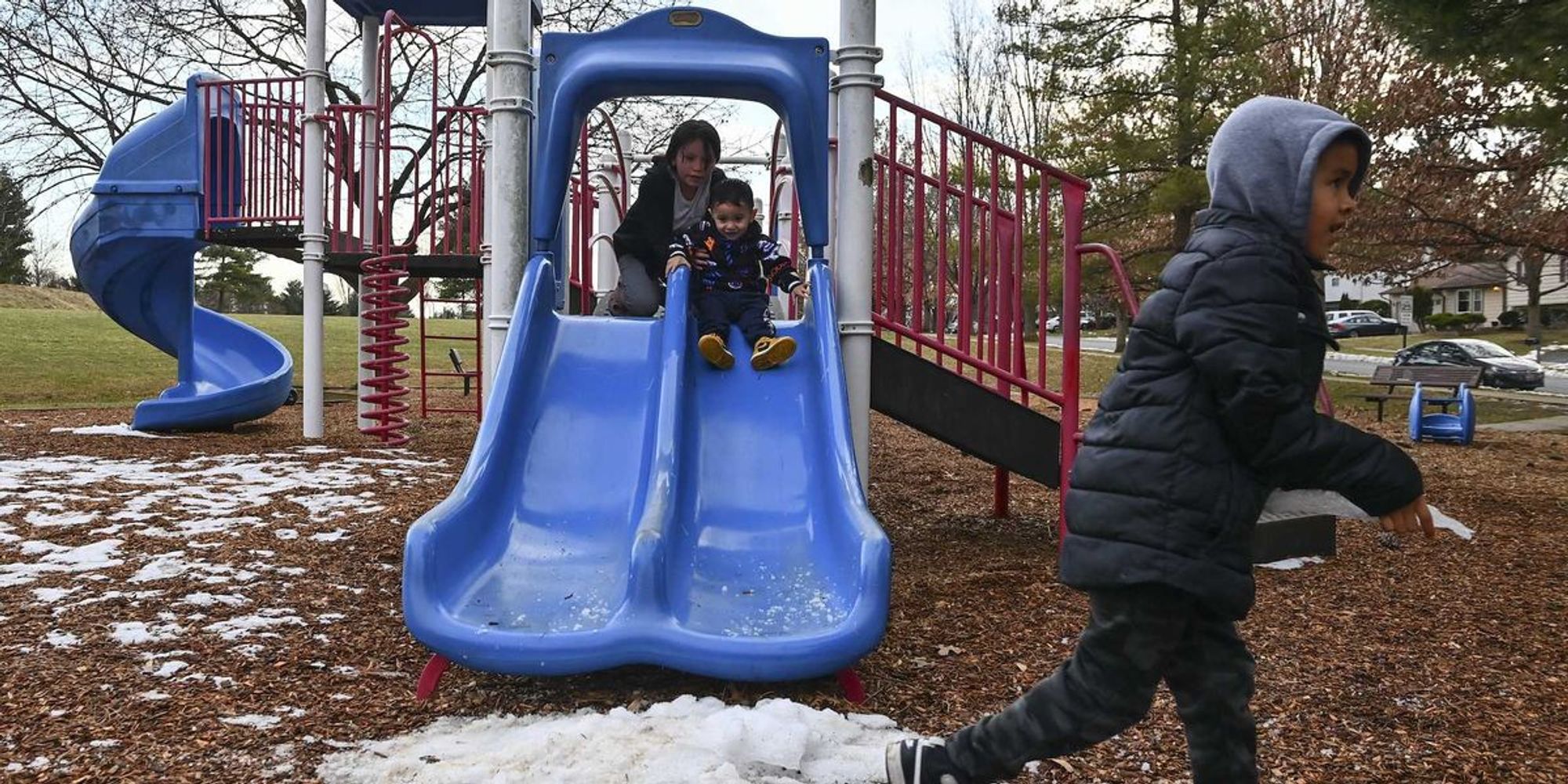 Woman faces prison time for bringing dangerous dog to playground that mauled boy for 2 minutes