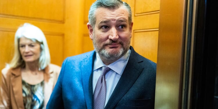 Sen Ted Cruz sidesteps 2028 question, touts 'historic' wins' for Texas