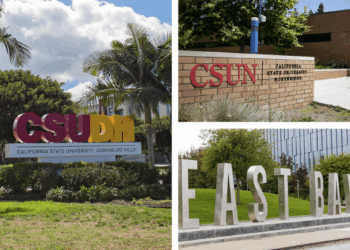 Cal State Schools Require Students To Take DEI Classes To Graduate. Options Include 'Queer Crip Lit' and 'Decolonize Your Diet.'