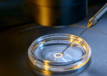 Poll: 4 In 5 Americans Are ‘Concerned’ About Silicon Valley’s Unregulated Embryo-Screening Scheme