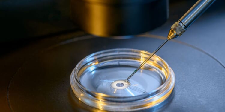 Poll: 4 In 5 Americans Are ‘Concerned’ About Silicon Valley’s Unregulated Embryo-Screening Scheme