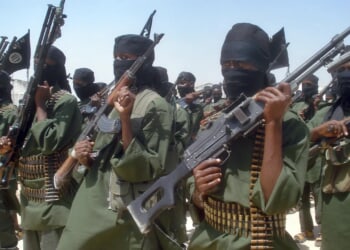 Minnesota taxpayer funds allegedly linked to Al-Shabaab terror group via fraud