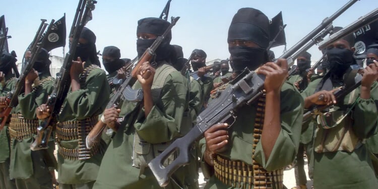 Minnesota taxpayer funds allegedly linked to Al-Shabaab terror group via fraud