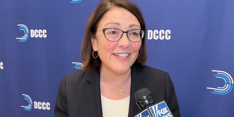 Democrats target House majority in 2026 midterms with affordability focus