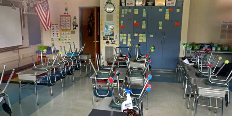 The radical nonprofit that is destroying state education