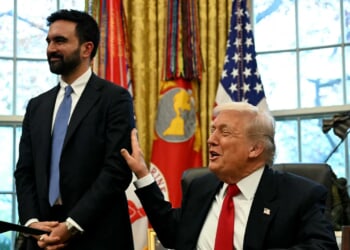 Trump and Mamdani find common ground after months of trading insults