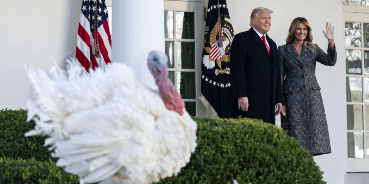 Trump kicks off holidays this week at the White House with turkey pardon