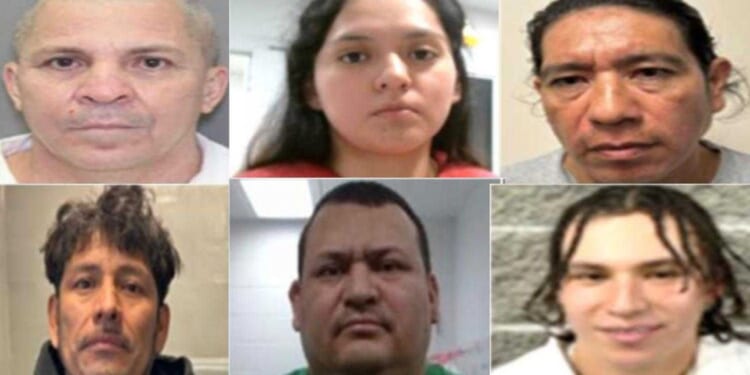 Exclusive: More 'sicko' criminal illegal aliens arrested — from just this weekend