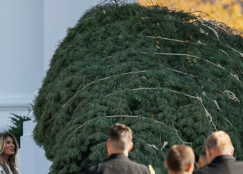 First Lady Melania Trump Welcomes White House Christmas Tree