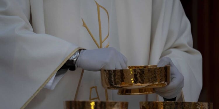 Elderly Catholic priest charged with 2 felonies over fight with senior woman about 'politically inclined' poster