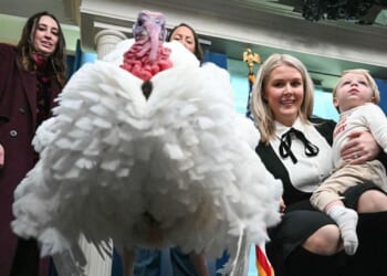 Trump to pardon turkeys Waddle and Gobble at White House ceremony