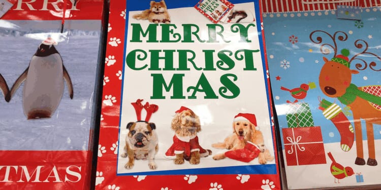 'Santa, I want the head of a Nazi under my tree': Masked creeps deliver Christmas cards with threatening leftist messages