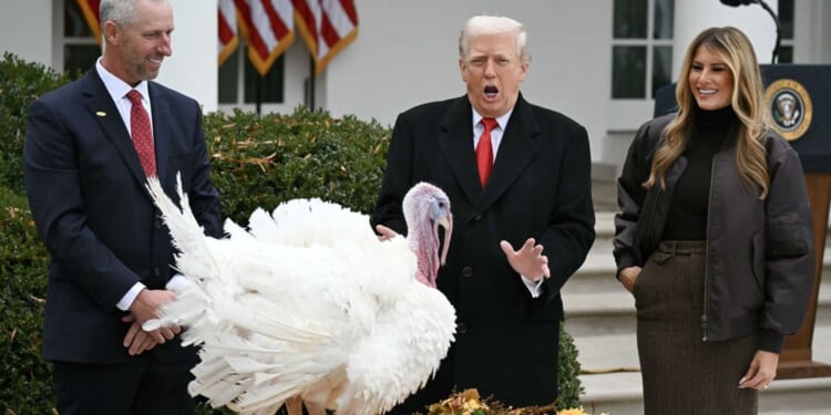 Trump taunts political opponents as turkey pardon goes off script: 'He's a fat slob'