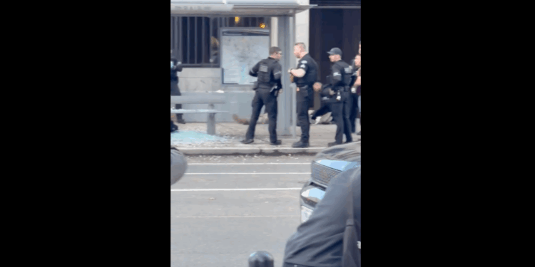 National Guard Shooting Suspect Came From Afghanistan Through Biden Program