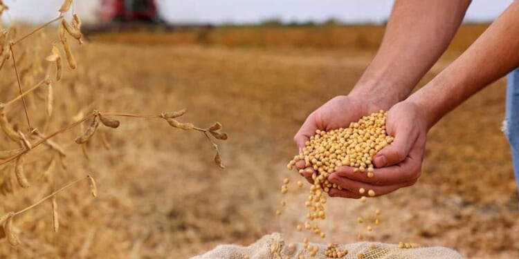 Give thanks for the sun, the CO2, and the farmers — not the climate scolds