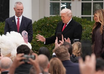 Trump pardons turkeys Gobble and Waddle in annual White House tradition