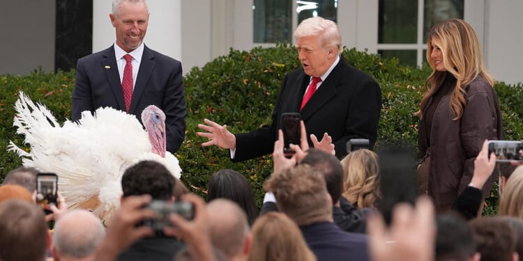 Trump pardons turkeys Gobble and Waddle in annual White House tradition
