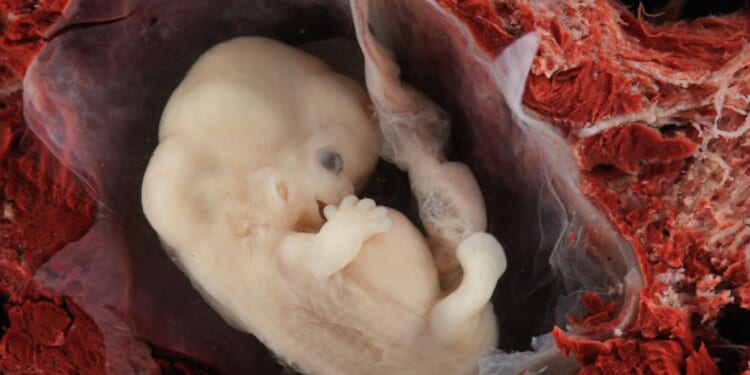 80 Years After Nuremberg Condemned Nazi Research, Doctors Are Still Committing Atrocities