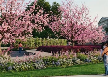 Living wall for unborn