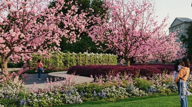 Living wall for unborn