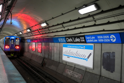 Attacker Yelled 'Burn Alive' at Woman as Officers Took Him