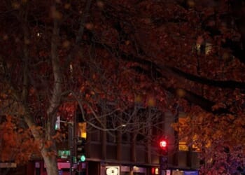 'D.C. Is a Safe City' 'Certain Parts' 'Are No-Go Places'