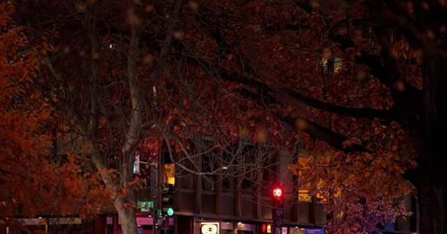 'D.C. Is a Safe City' 'Certain Parts' 'Are No-Go Places'