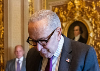 Dem Calls Party Leaders 'Porch Puppies' for Caving to Republicans