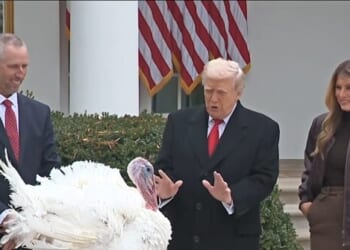 Donald and Melania Trump Pardon Thanksgiving Turkeys