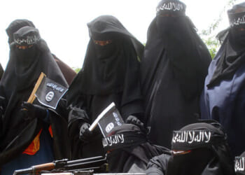 Emmer Calls for Investigation into MN Funds Going to Al Shabaab