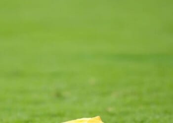 Fans Outraged By Targeting Call Decision in Ohio State Game