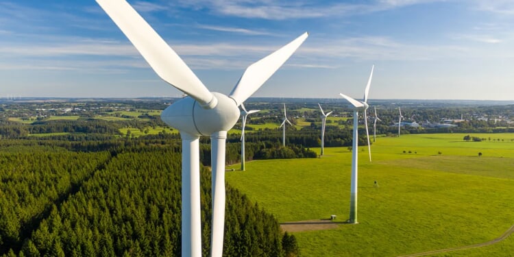 Green energy company hit with thousands in fines for killing bald eagles