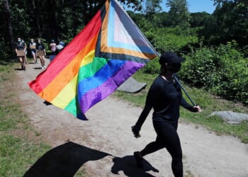 How the Radical Left Thinks