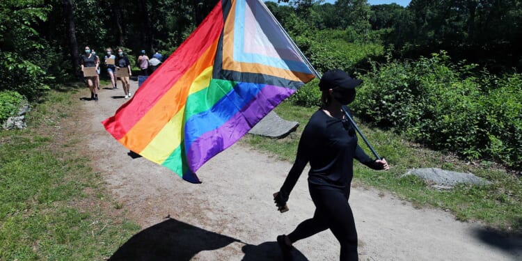 How the Radical Left Thinks