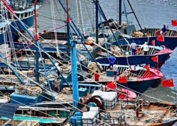 Illegal Chinese Fishing Causing $800 Million in Damages in Peru
