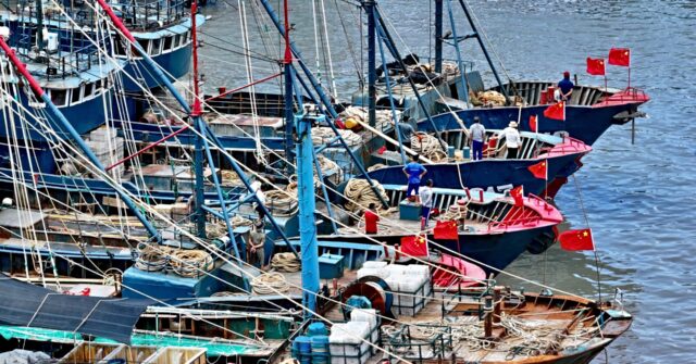 Illegal Chinese Fishing Causing $800 Million in Damages in Peru