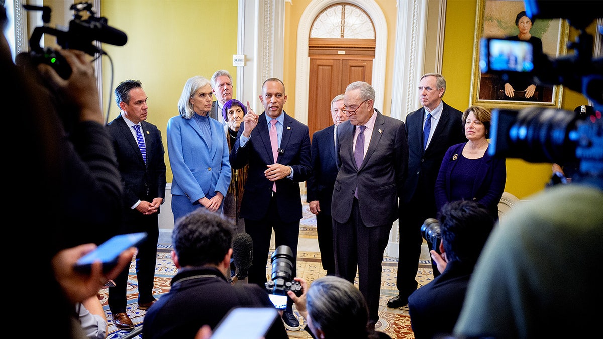 House and Senate Democrats stand in the U.S. Capitol together