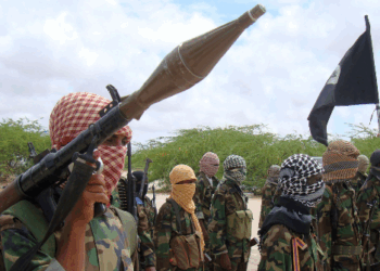 MN Somali Medicaid Fraud Investigation Reveals Terrorist Link — 'Largest Funder of Al-Shabaab is the Minnesota Taxpayer'