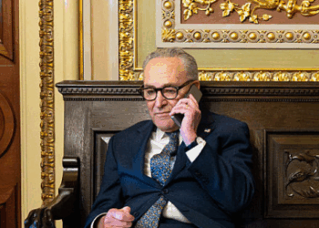 Majority Disapprove of the Way Chuck Schumer Is Handling His Job as Minority Leader