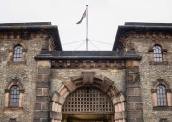 Manhunt After Mistaken Release of ANOTHER Migrant Sex Criminal