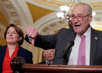 'Many' Dems Pressured by Left to Abandon Support for Ending Shutdown