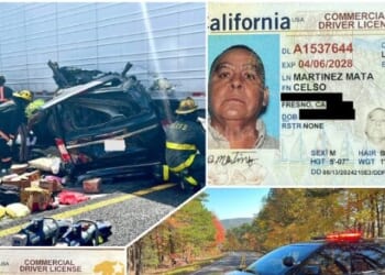 Nationwide Raids Nab 250 Foreign CDL Truck Drivers — DHS Warns Cartel Exploitation Threatens Homeland Security