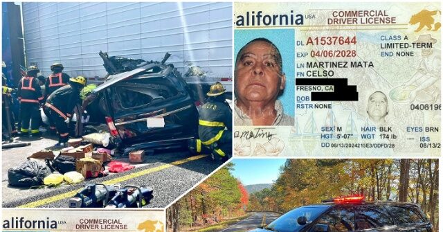 Nationwide Raids Nab 250 Foreign CDL Truck Drivers — DHS Warns Cartel Exploitation Threatens Homeland Security