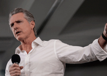 New Hampshire 2028 Primary Poll Shows Democrats Split and in Disarray