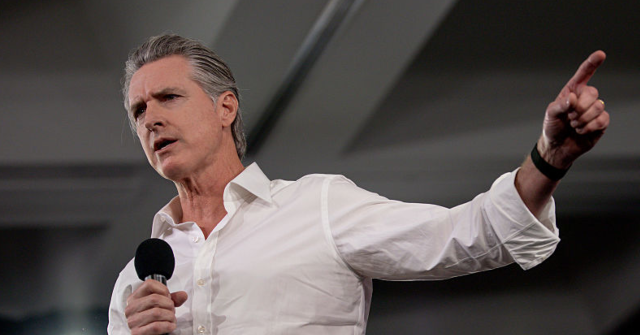 New Hampshire 2028 Primary Poll Shows Democrats Split and in Disarray