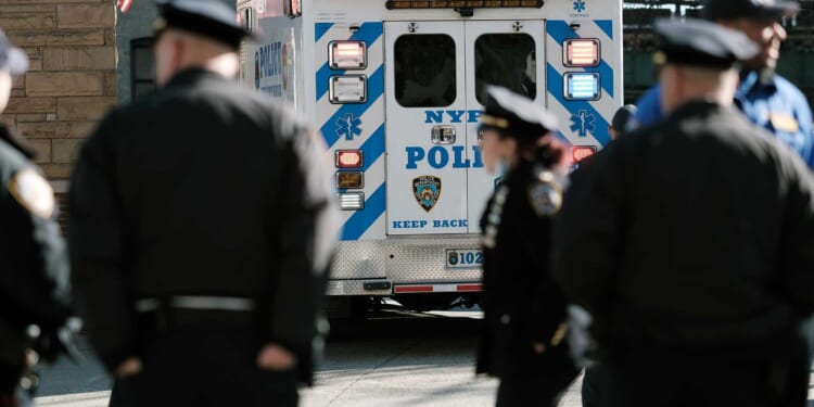 New York City’s Surge in Family Violence