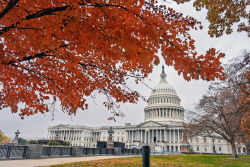 RealClear Is Thankful for Our Readers