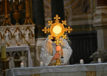 Rosary-Colored Glasses and the Hidden, Eucharistic Wisdom of God