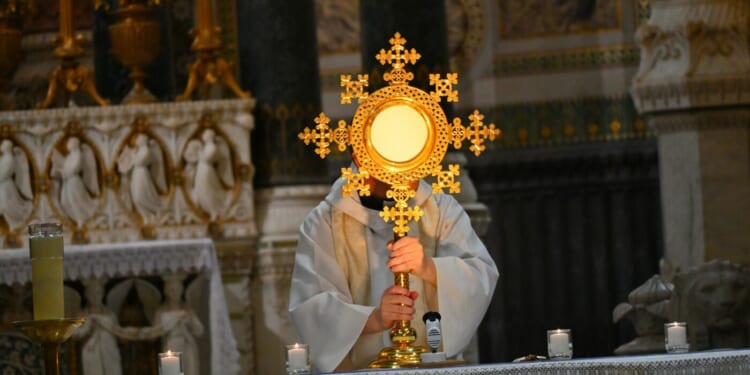 Rosary-Colored Glasses and the Hidden, Eucharistic Wisdom of God